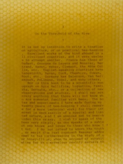 Life of the Bee Panel