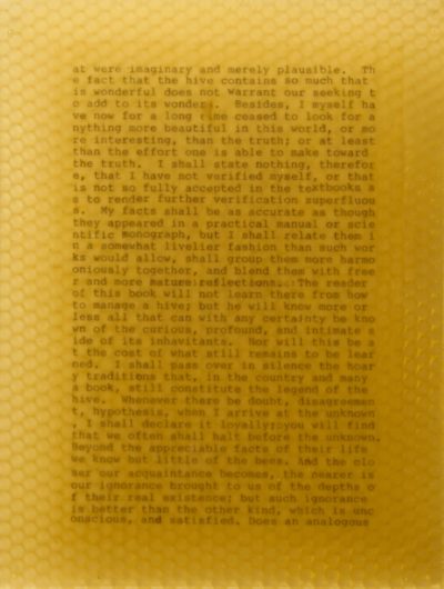 Life of the Bee Panel