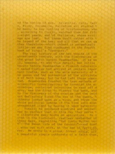 Life of the Bee Panel